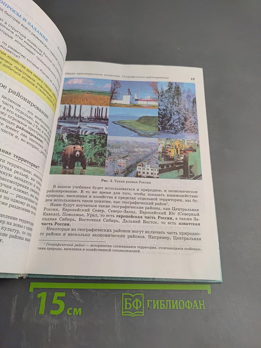 География России. Хозяйство и географические районы. 9 класс. Книга вторая