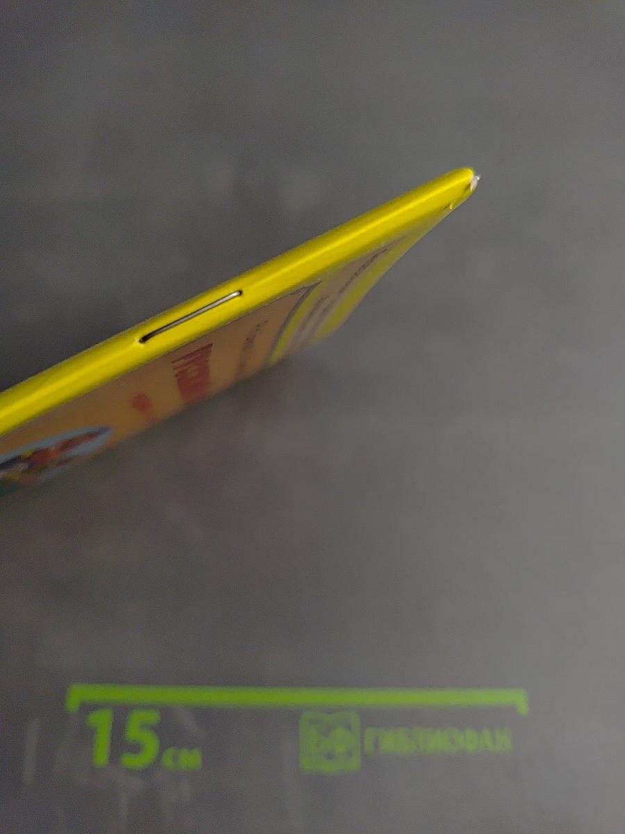 Русский язык. Первые уроки. 1 класс