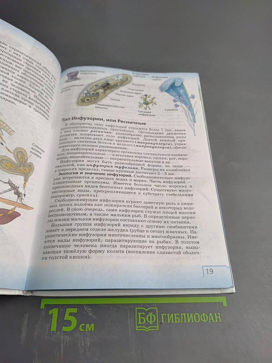 Биология. Многообразие живых организмов. Животные. 8 класс