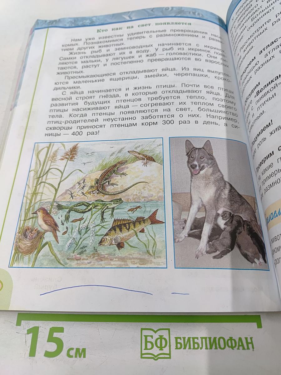 Окружающий мир, 3 класс, Часть 1