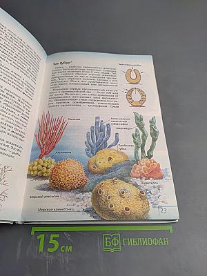 Биология. Многообразие живых организмов. Животные. 8 класс