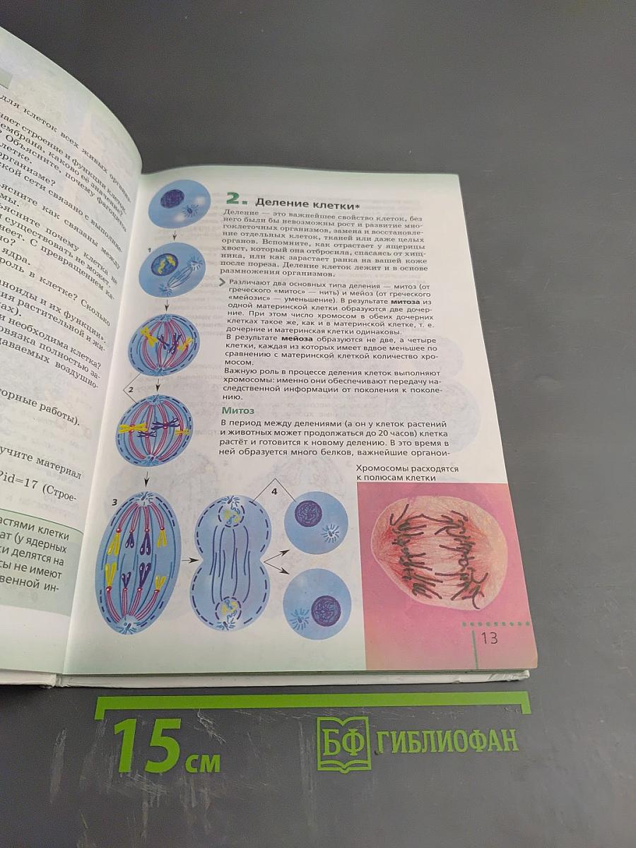 Биология. Живой организм. 6 класс