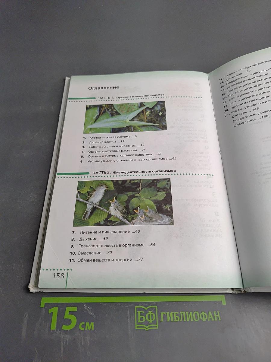 Биология. Живой организм. 6 класс