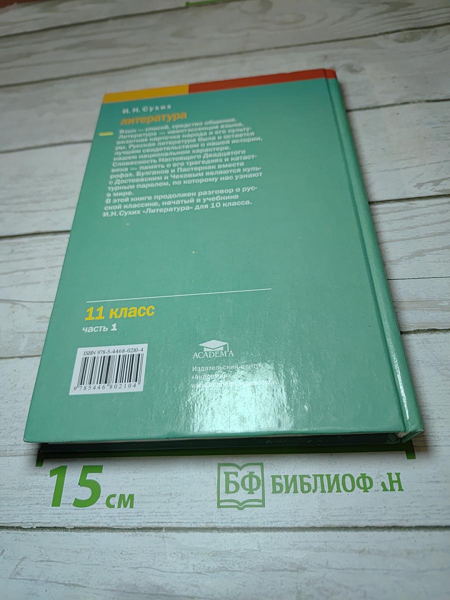 Литература, учебник для 11 класса, Часть 1