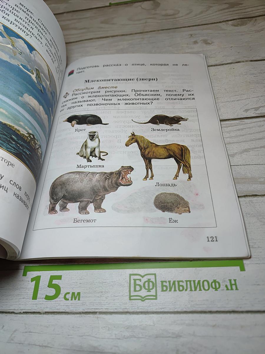 Окружающий мир 3 класс. Часть первая