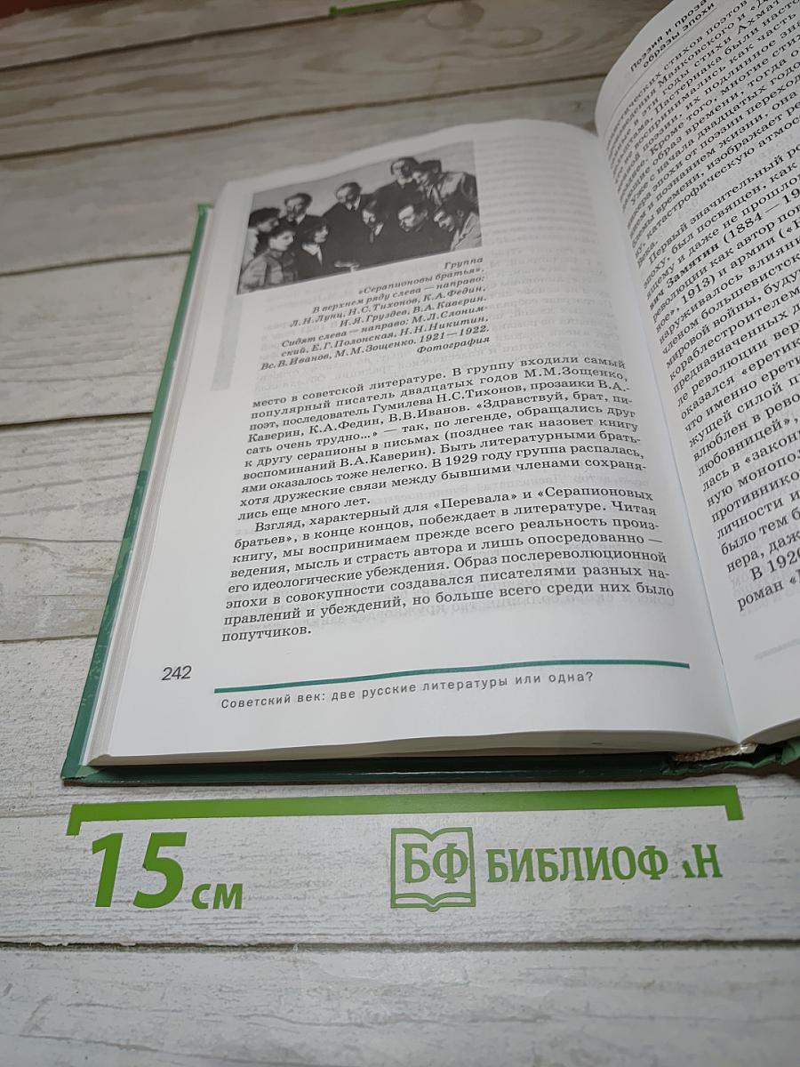 Литература для 11 класса. Часть 1