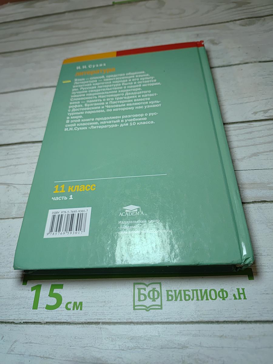 Литература для 11 класса. Часть 1