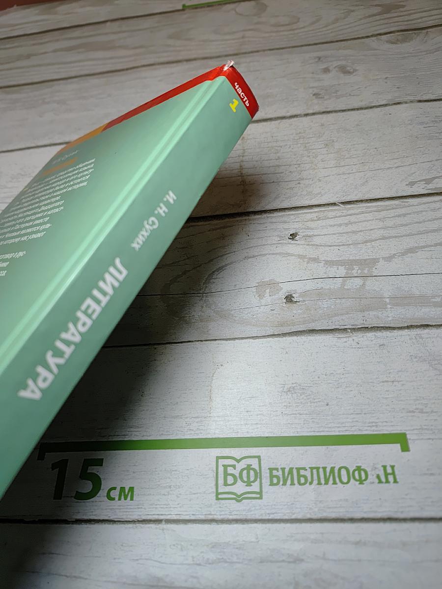 Литература для 11 класса. Часть 1
