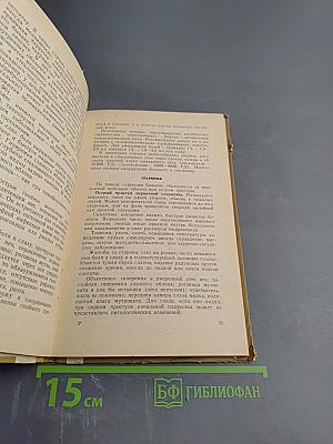 Неотложная офтальмологическая помощь