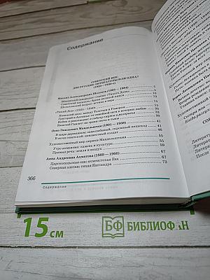 Литература 11 класс, часть 2