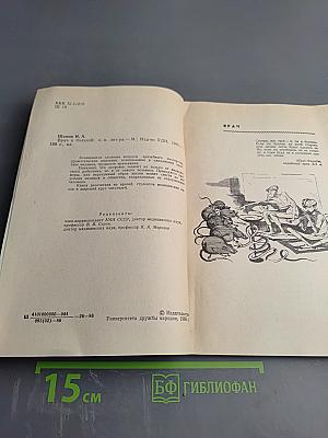 Врач и больной