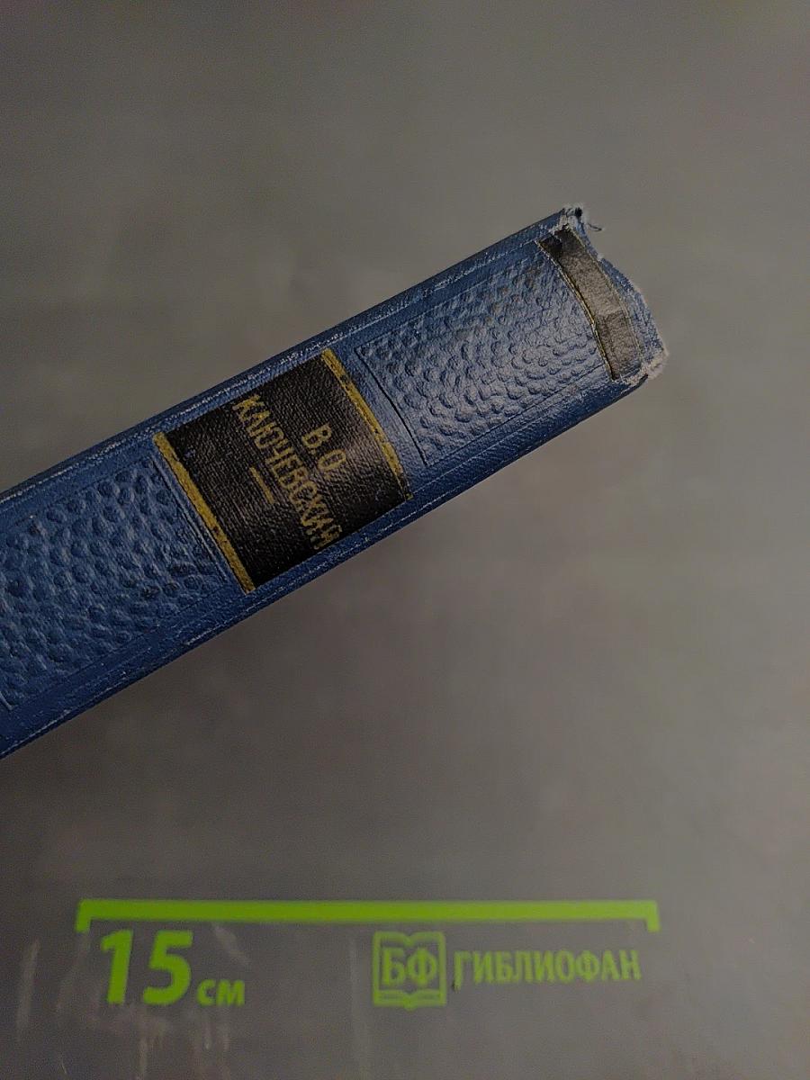 Сочинения. Том VIII. Исследования, рецензии, речи (1890-1905)