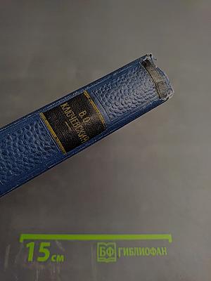 Сочинения. Том VIII. Исследования, рецензии, речи (1890-1905)