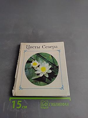 Цветы Севера