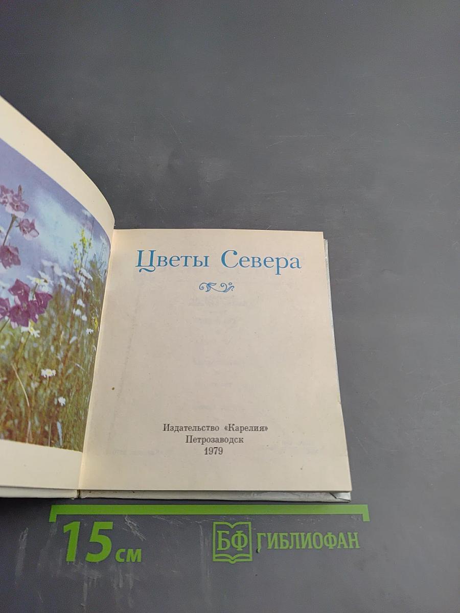 Цветы Севера