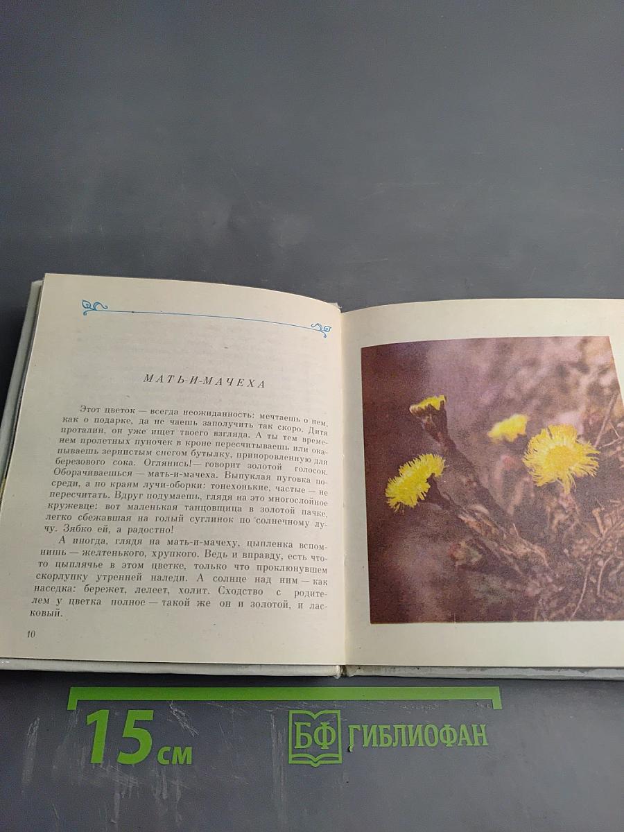 Цветы Севера