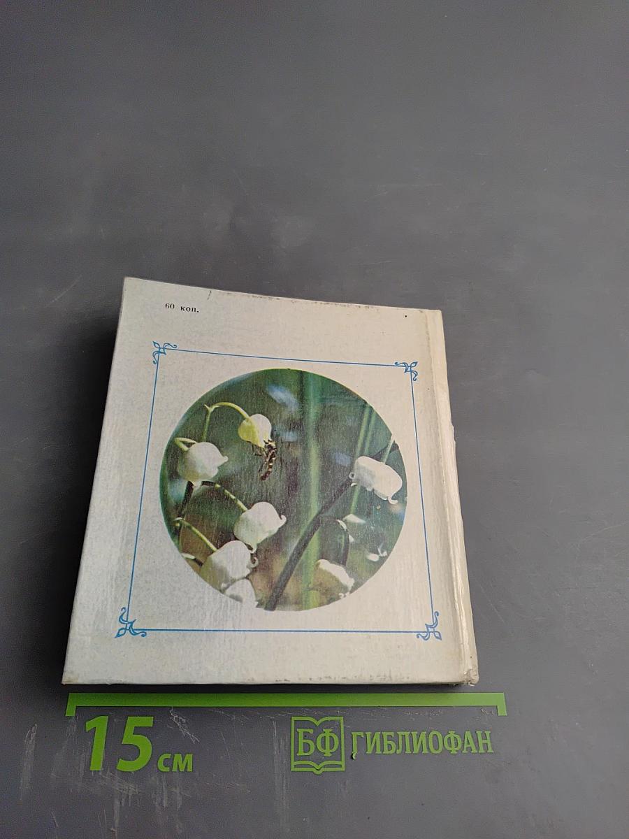 Цветы Севера