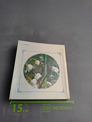 Цветы Севера