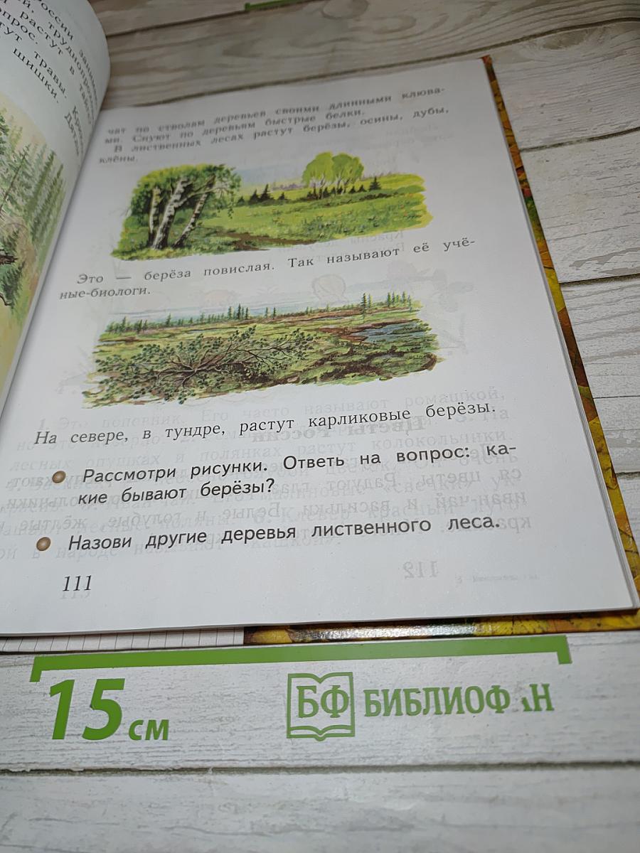 Окружающий мир 1 класс