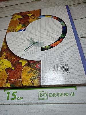 Окружающий мир 1 класс