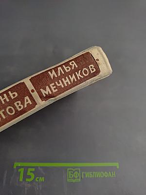 Жизнь Пирогова. Илья Мечников