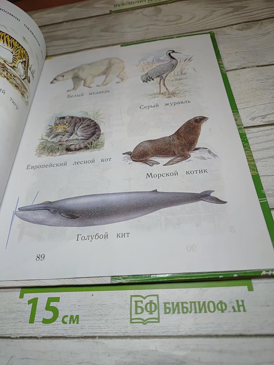 Окружающий мир, 1 класс, Часть вторая