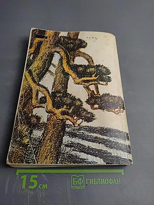 Сибирские рассказы и очерки