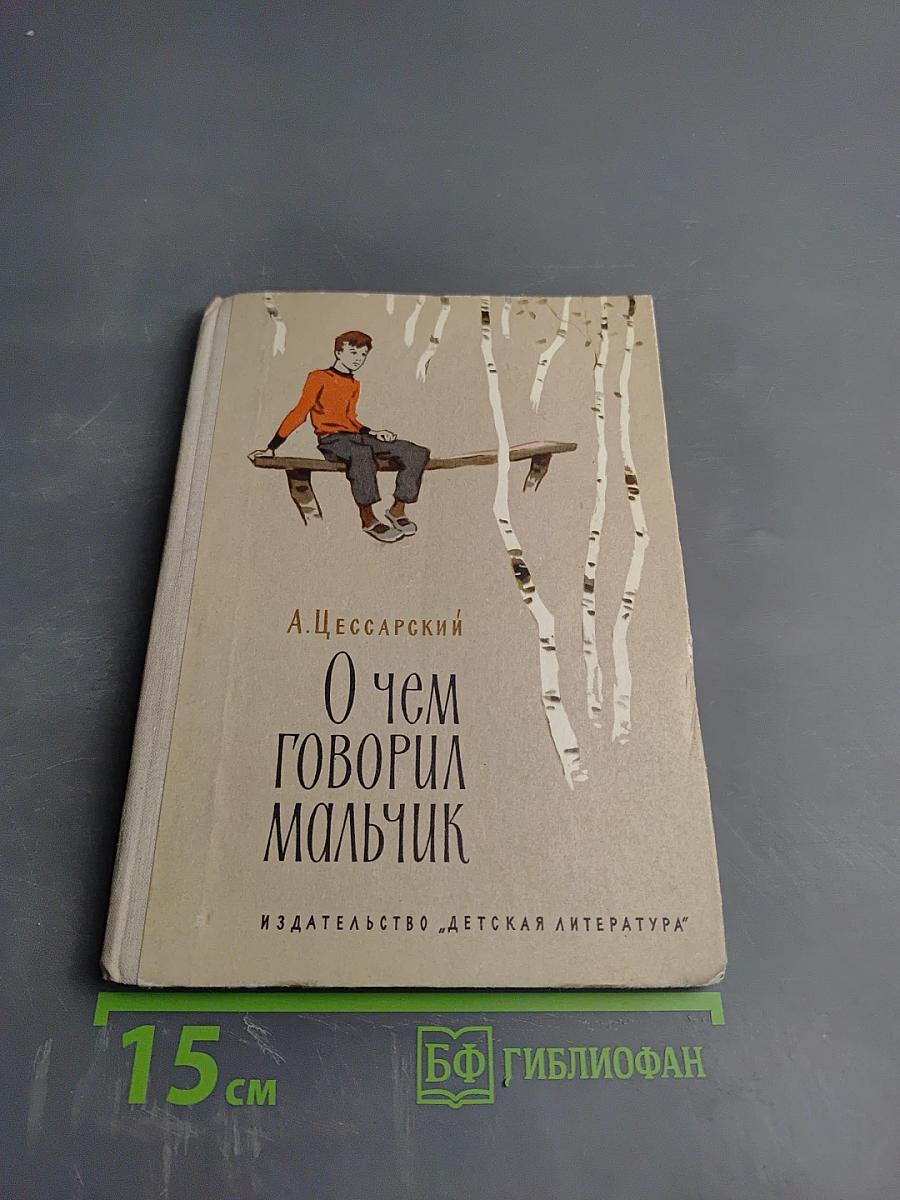 О чем говорил мальчик