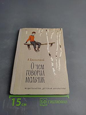 О чем говорил мальчик