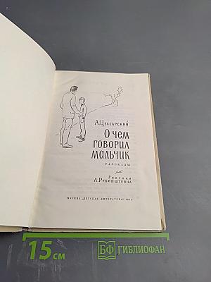 О чем говорил мальчик