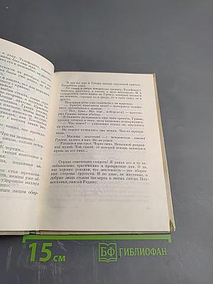 О чем говорил мальчик