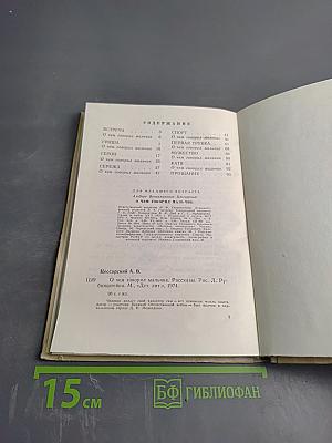 О чем говорил мальчик