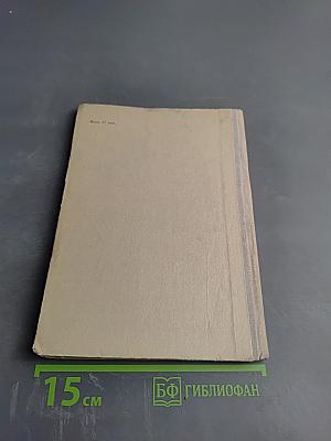 О чем говорил мальчик