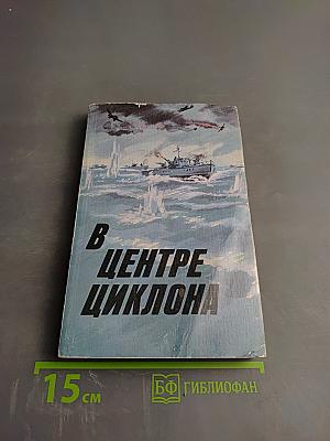 В Центре циклона