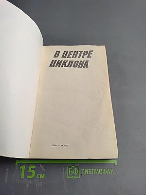 В Центре циклона