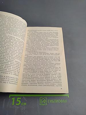 В Центре циклона