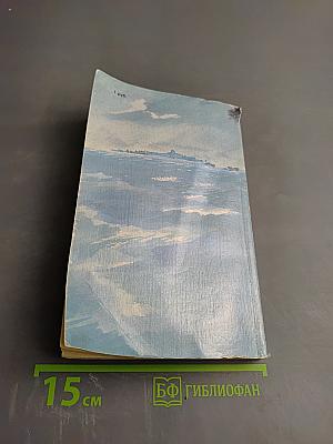 В Центре циклона