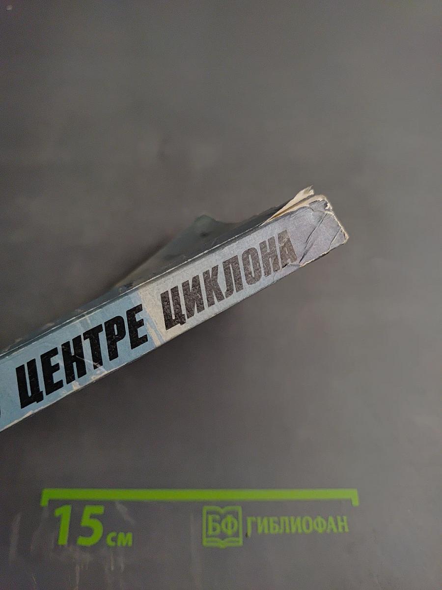 В Центре циклона