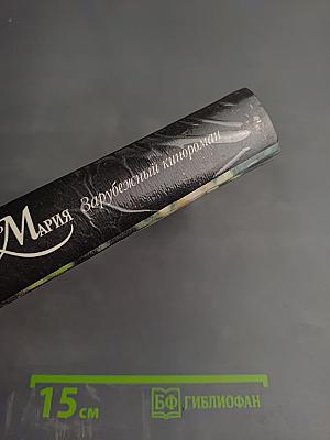 Просто Мария. Зарубежный кинороман
