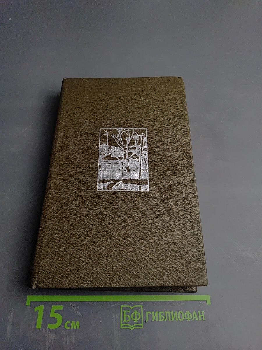 Начало года; Навстречу весне