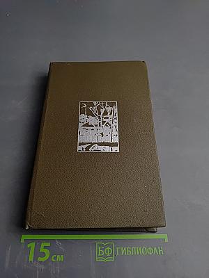 Начало года; Навстречу весне