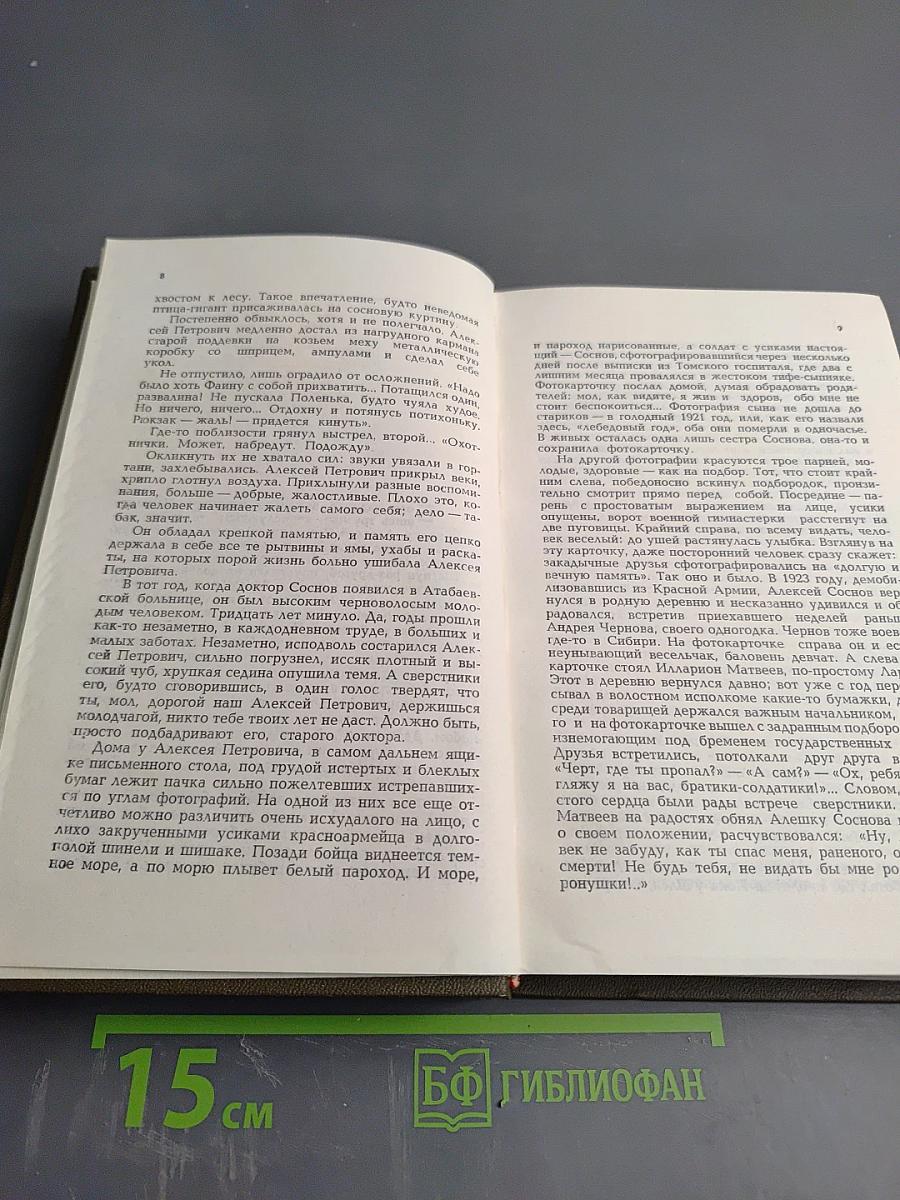 Начало года; Навстречу весне