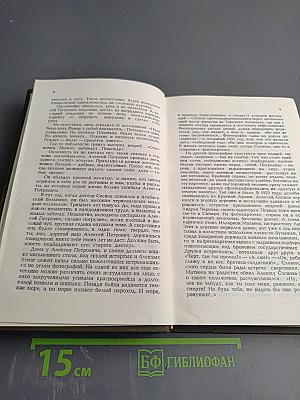 Начало года; Навстречу весне