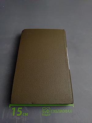 Начало года; Навстречу весне