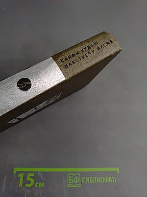 Начало года; Навстречу весне