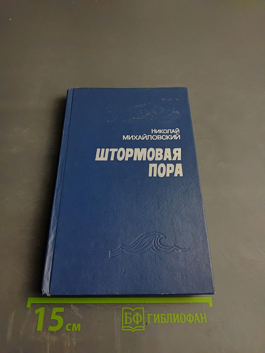 Штормовая пора