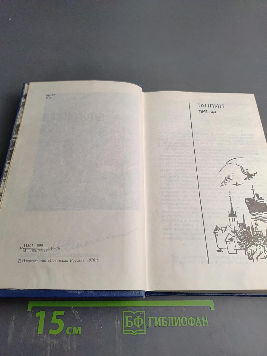 Штормовая пора