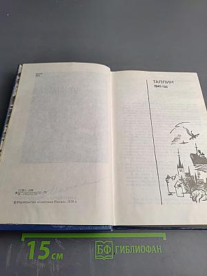 Штормовая пора