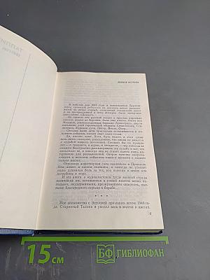 Штормовая пора