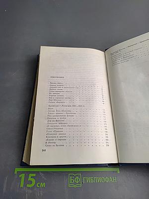 Штормовая пора